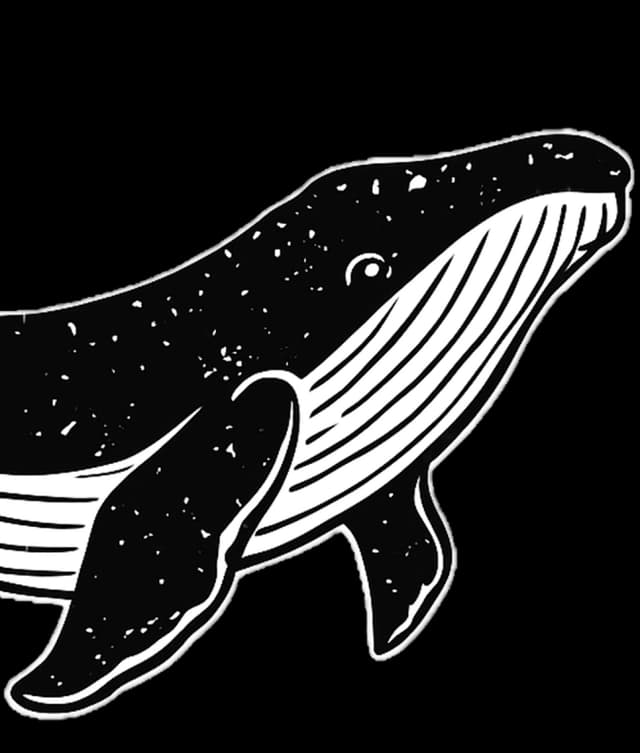 Élément décoratif baleine gauche ONDEV